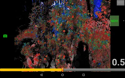 NDVI-400.png