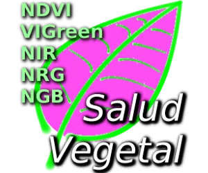 imscope300x250.png